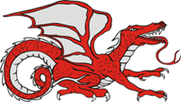 Thermo Dragons - logo
